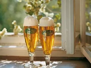 安兹海登霍夫酒店 4* 利恩茨